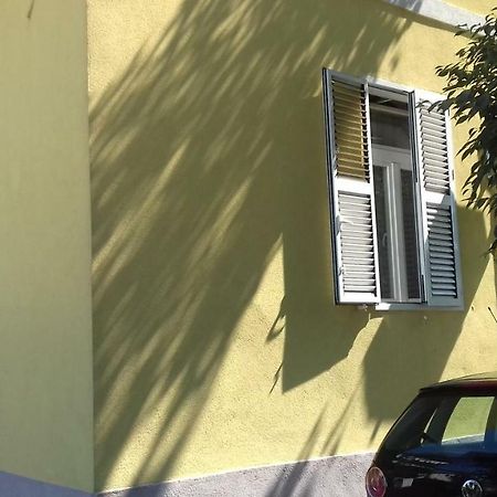 Apartment Jazine Задар Екстериор снимка
